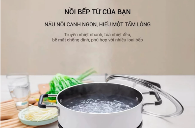 Khám Phá Tính Năng Độc Đáo Của Bếp Từ Giá Rẻ Lumias LK24-220B