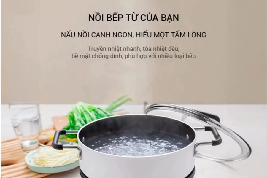 Khám Phá Tính Năng Độc Đáo Của Bếp Từ Giá Rẻ Lumias LK24-220B