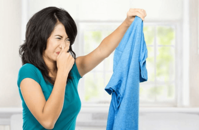 Giải Pháp Cho Quần Áo Ẩm Mốc Mùa Nồm: Máy Sấy Là Cần Thiết